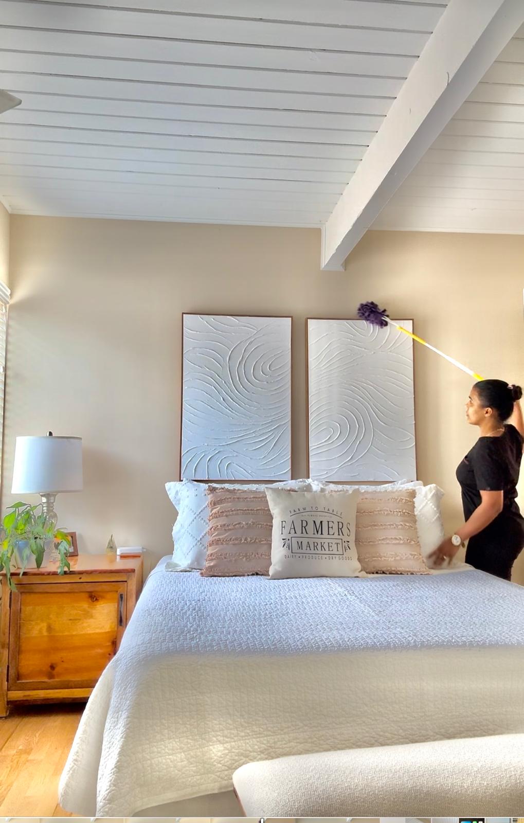 Professional cleaning team